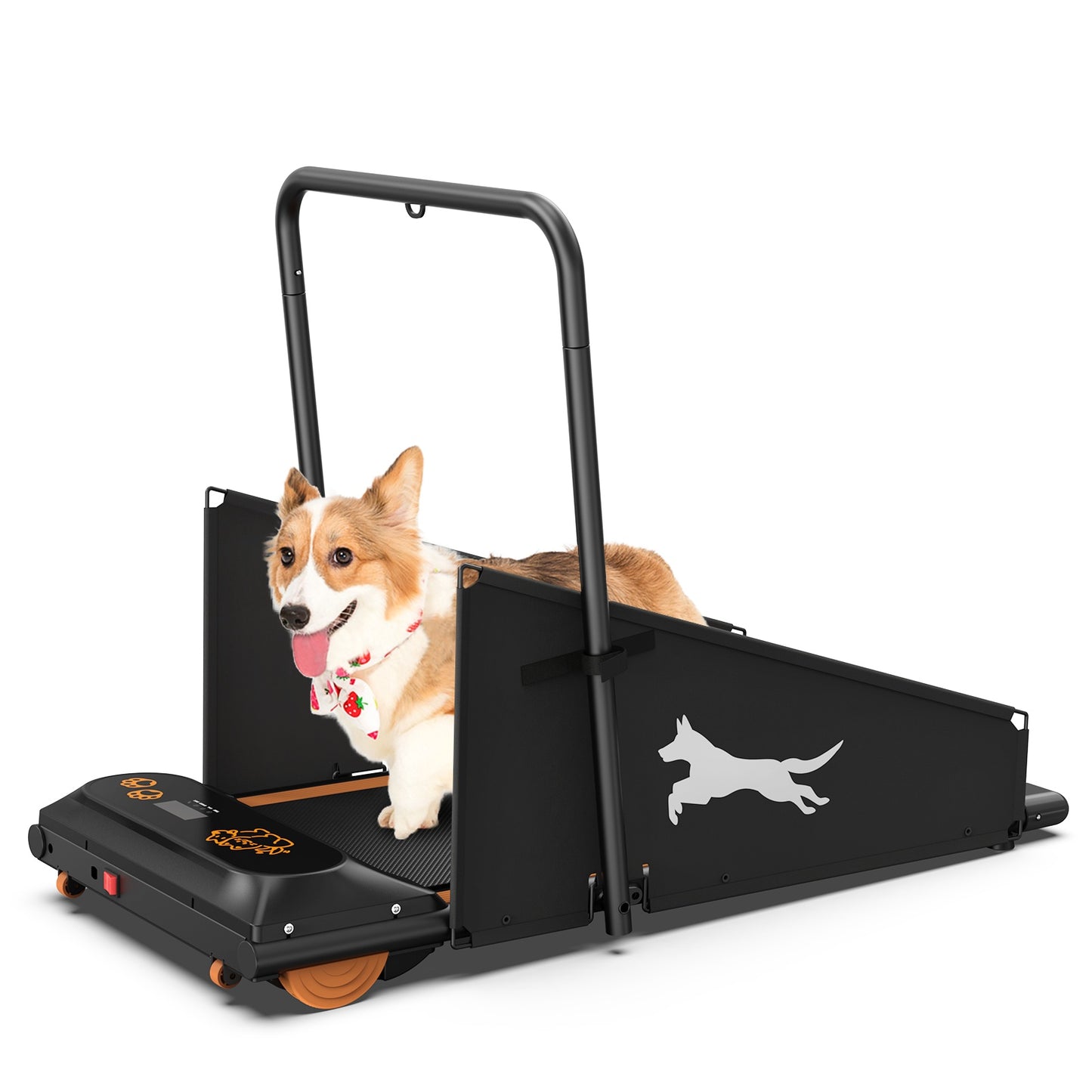 Pet treadmill for walking and running small to medium dogs