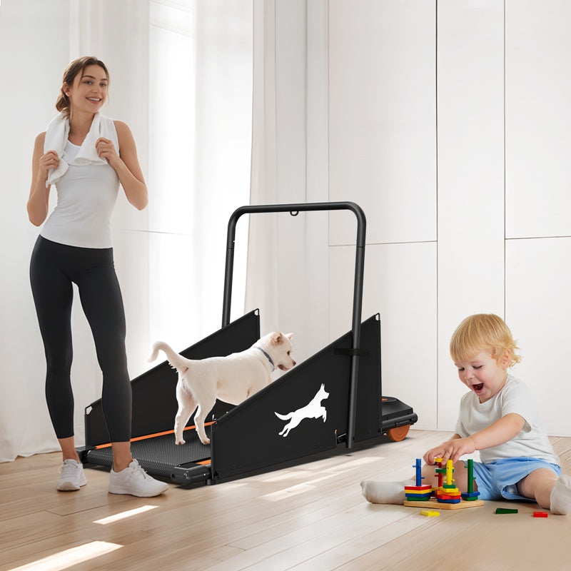 Small and medium dogs exercising on home treadmill
