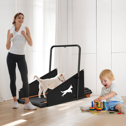 Small and medium dogs exercising on home treadmill