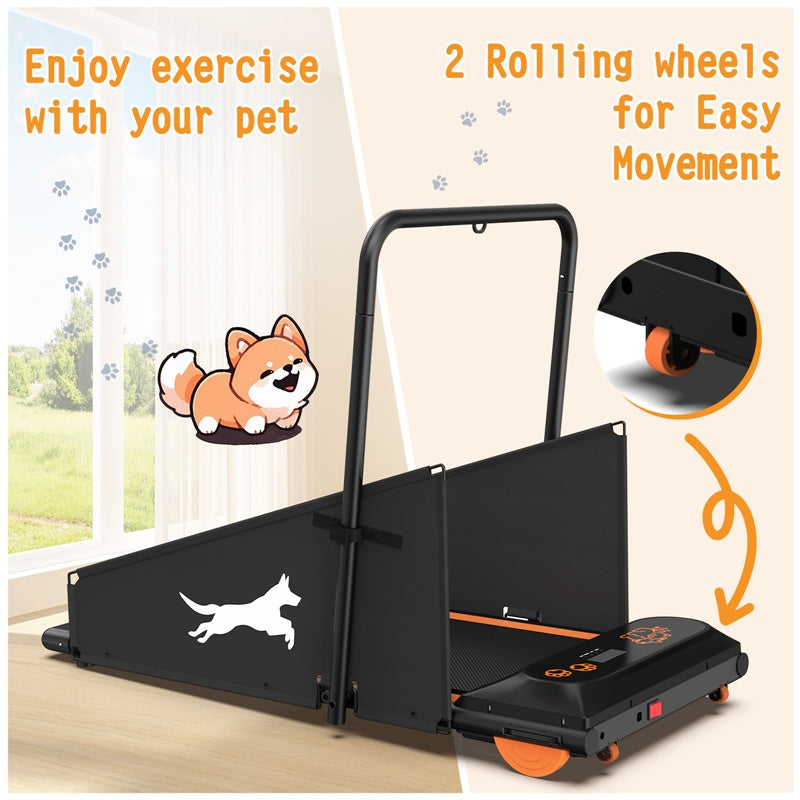 Medium dog running on indoor pet treadmill