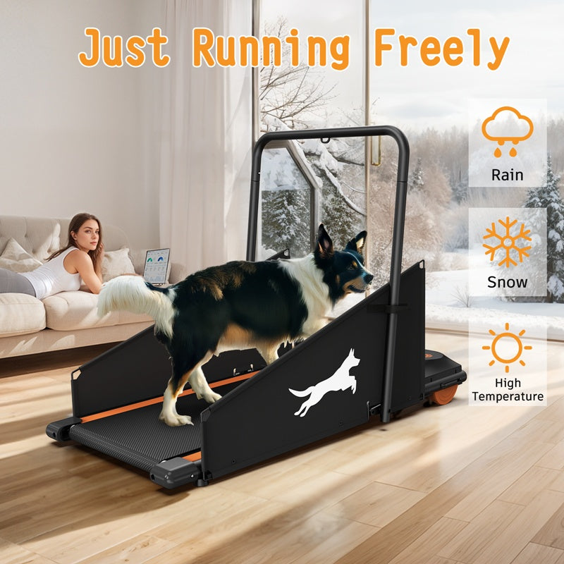 Safe indoor treadmill for dogs – joint-friendly design