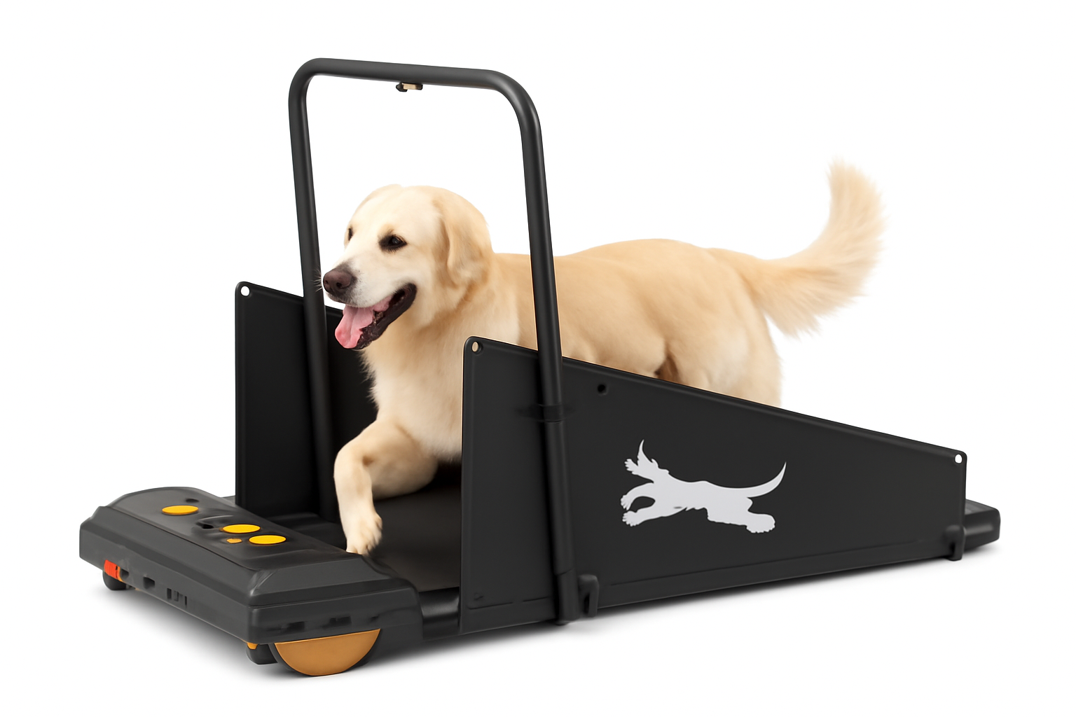 Dog treadmill for home – small dog walking indoors